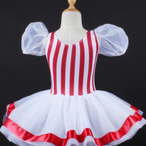 Ballet dress modern dance tutu skirt for girls kids children stage performance hallowen Christmas party dancing ballet dress