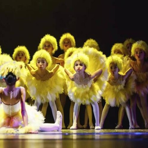 Children ballet dance dresses modern dance feather yellow cartoon duck cosplay stage performance photography cosplay costumes dresses