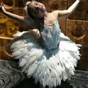 Kids girls little swan lake feather ballet dance dresses calssical pancake ballet dress tutu skirts ballerina dress