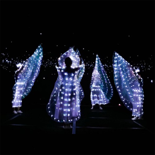 Led light Belly dance wings glitter modern dance stage performance hallow party performance white led light cosplay props