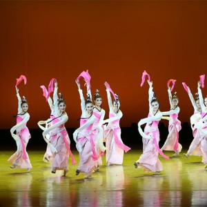 Women pink chinese folk dance dress waterfall sleeves fairy hanfu dress stage performance classical dance princess dance costumes