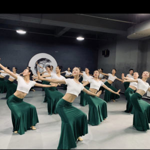 Women white with dark green chinese folk dance costume Dai minority peacock dance dresses practice clothes fishtail skirt belly dance outfits for female